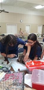 students assisting in "The Big Fix" 