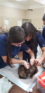 students assisting in "The Big Fix" 