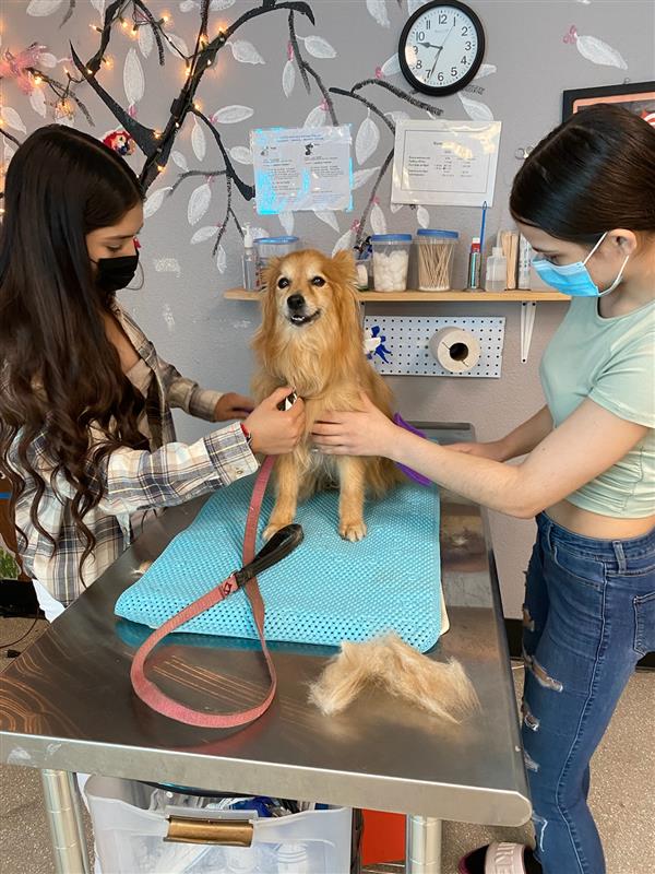 Health Check