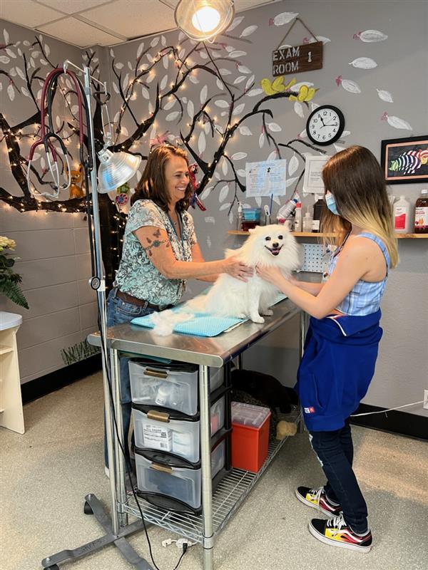 Health check
